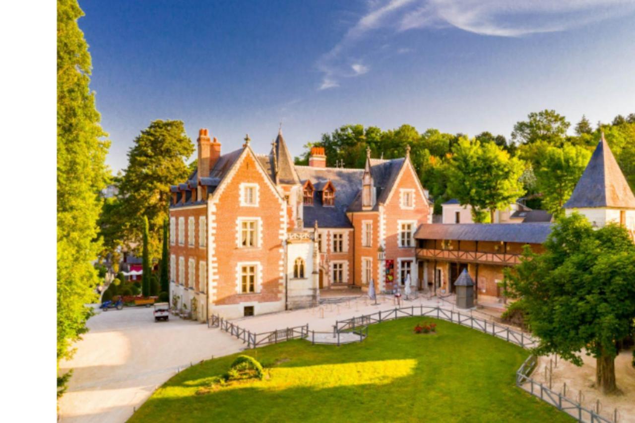 Da Vinci - Charmant Et Relax Amboise Exterior foto