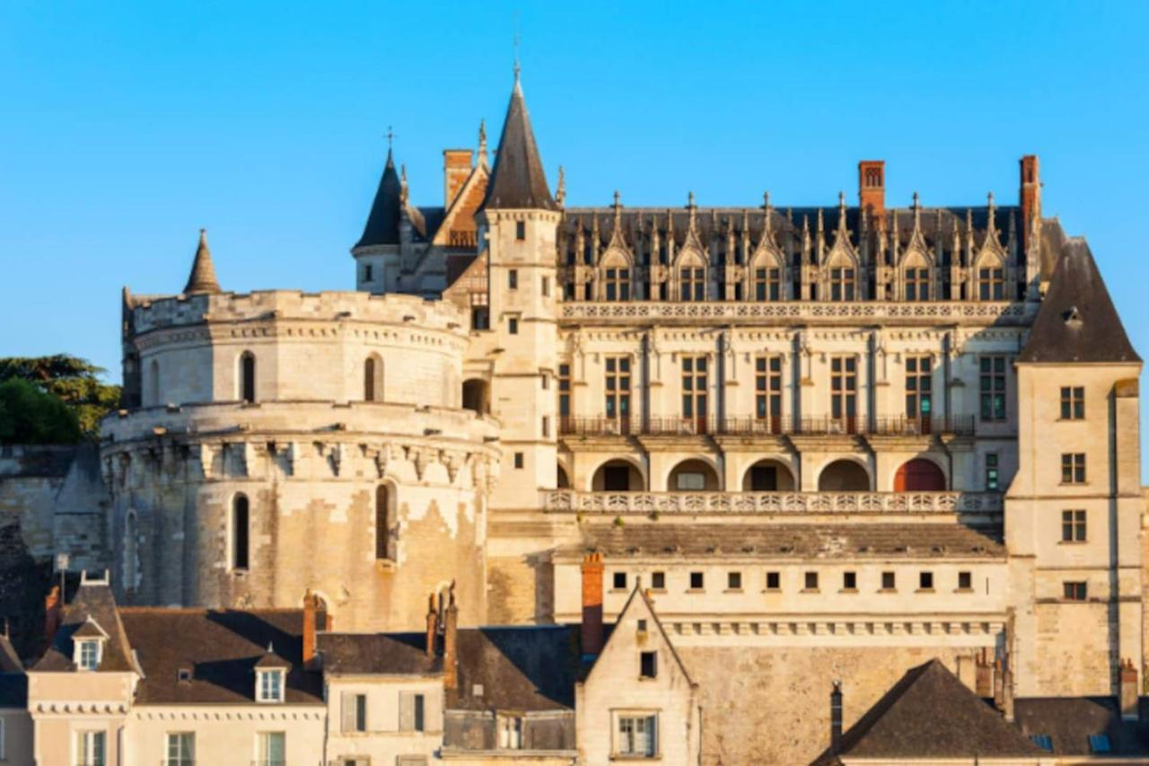 Da Vinci - Charmant Et Relax Amboise Exterior foto